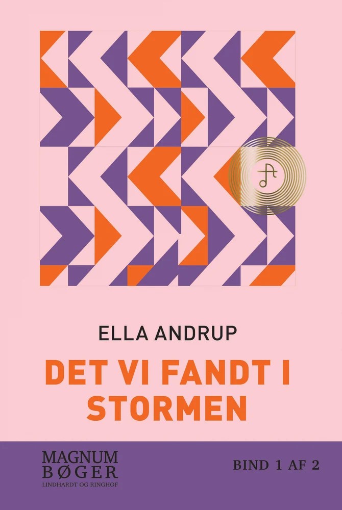 Det vi fandt i stormen cover