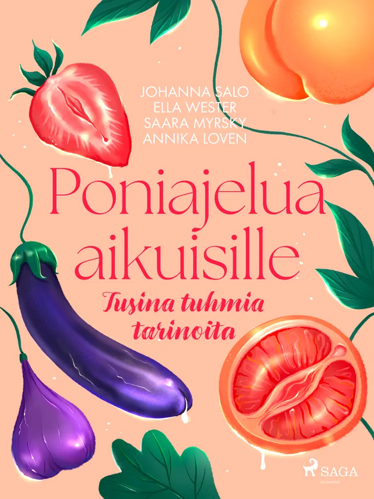 Poniajelua aikuisille – Tusina tuhmia tarinoita af Johanna Salo