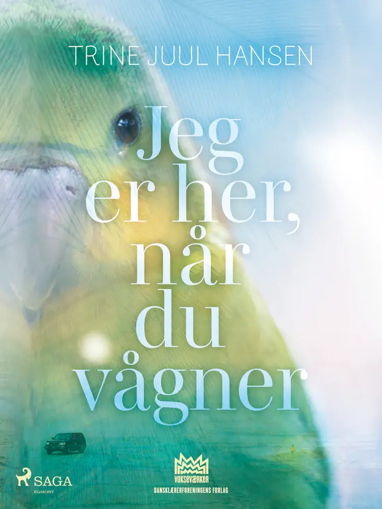 Jeg er her, når du vågner af Trine Juul Hansen