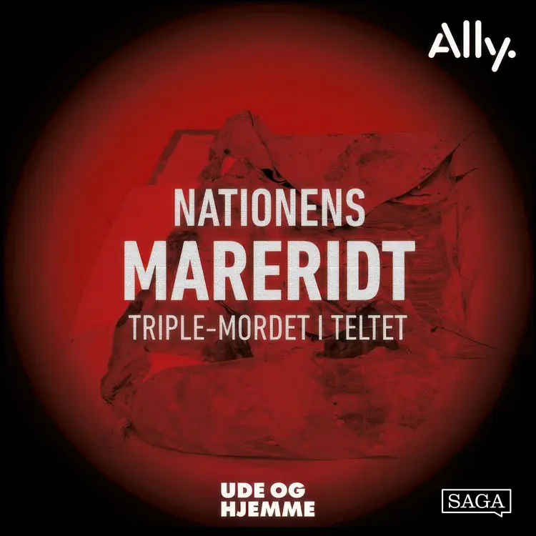 Triple mordet i teltet af Thomas Klinkby