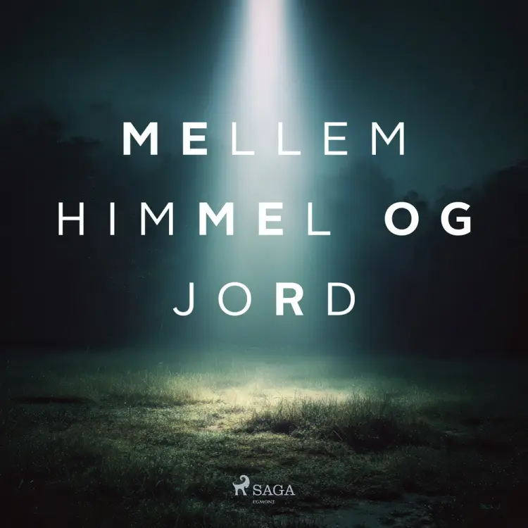 Mellem himmel og jord af Kristian Leth