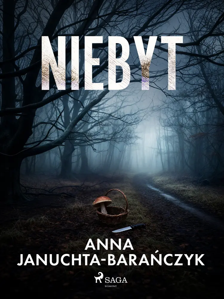 Niebyt af Anna Januchta-Barańczyk