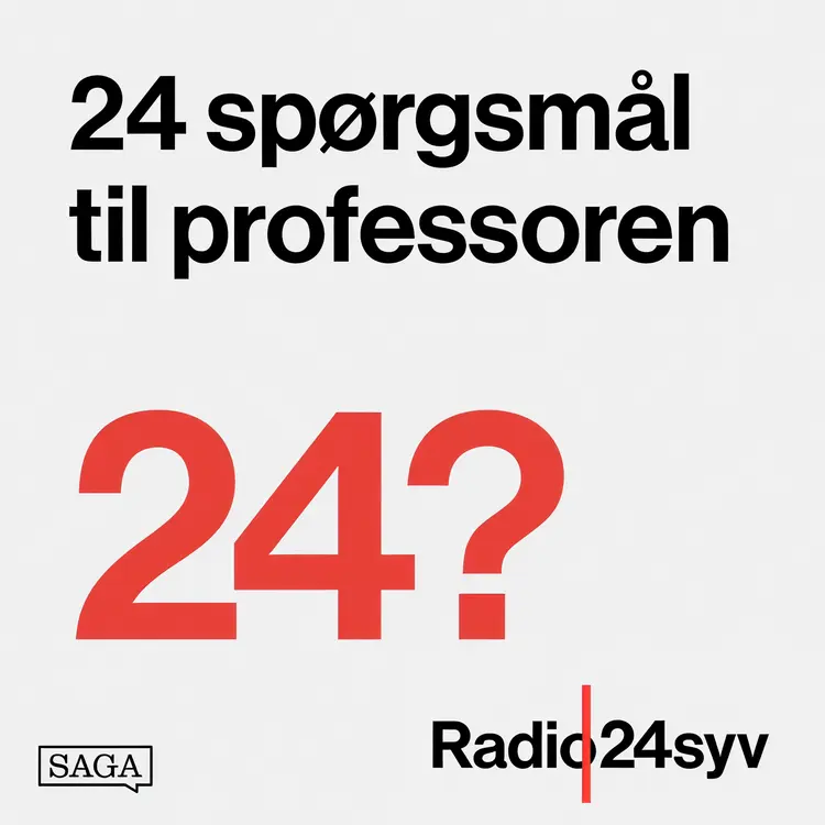 Galaksernes oprydder af Lone Frank