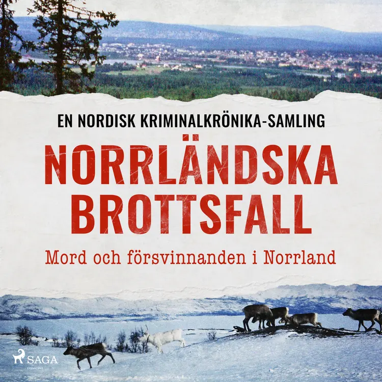 Norrländska brottsfall – Mord och försvinnanden i Norrland af Diverse
