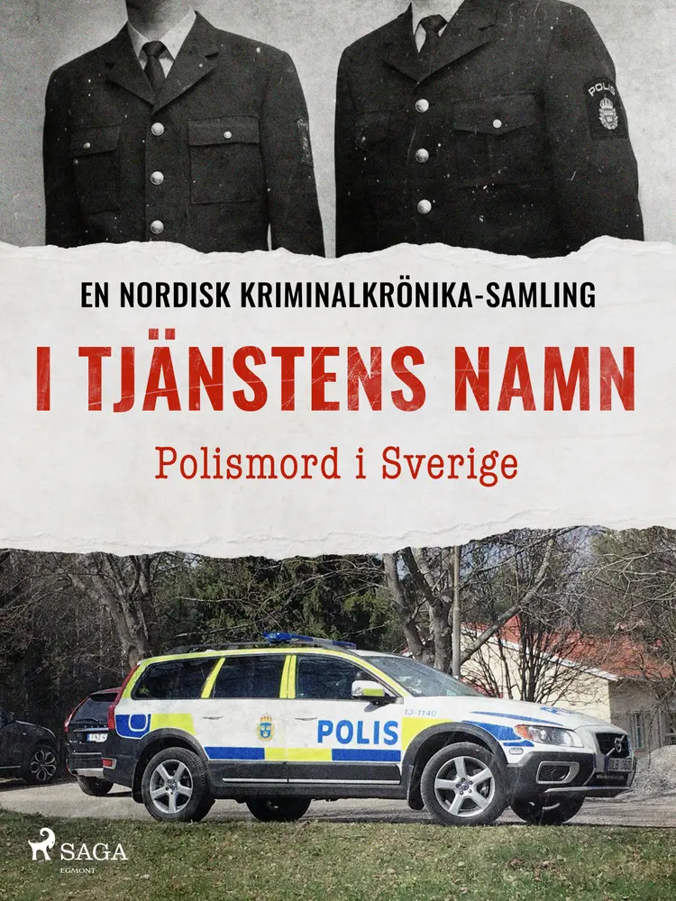 I tjänstens namn – Polismord i Sverige af Diverse