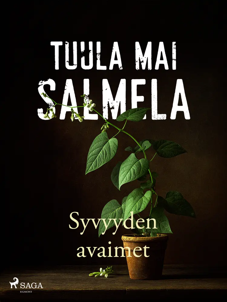 Syvyyden avaimet af Tuula Mai Salmela