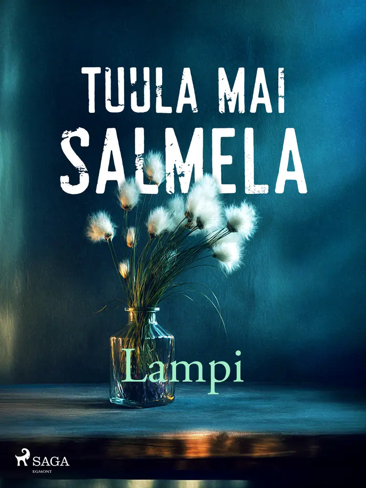 Lampi af Tuula Mai Salmela