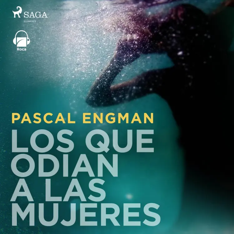 Los que odian a las mujeres af Pascal Engman