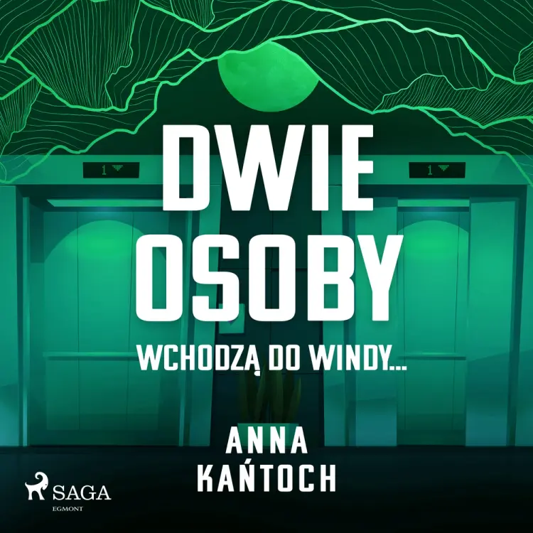 Dwie osoby wchodzą do windy... af Anna Kańtoch