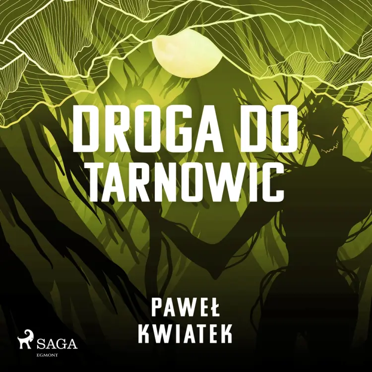 Droga do Tarnowic af Paweł Kwiatek