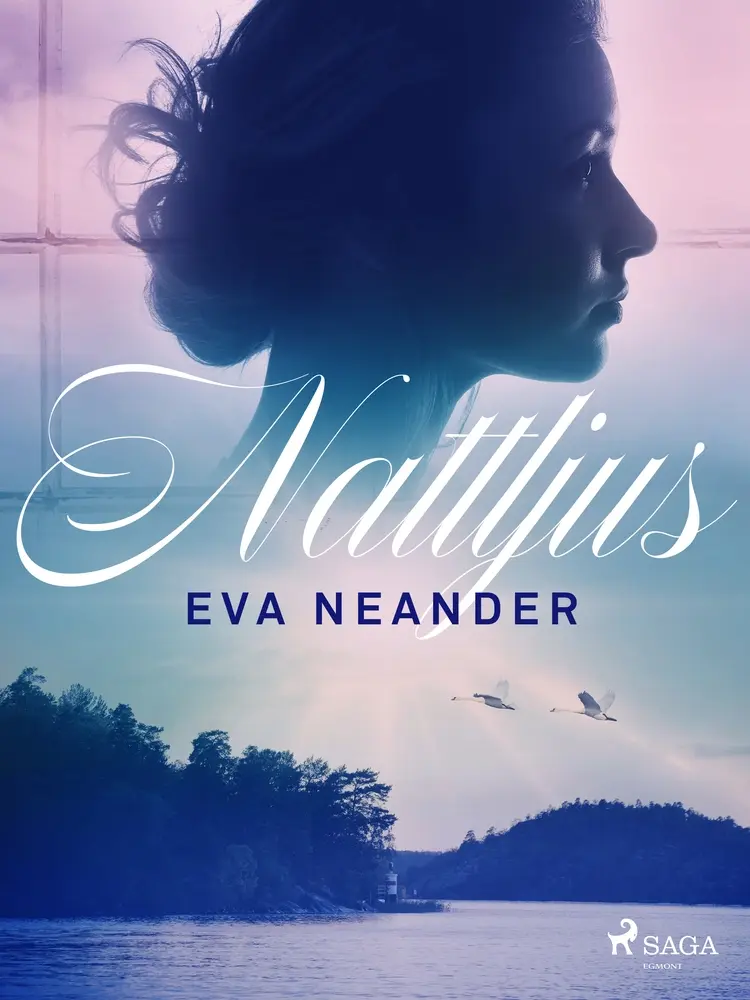 Nattljus af Eva Neander