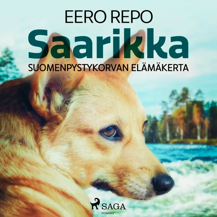 Saarikka af Eero Repo