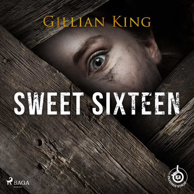 Sweet sixteen af Gillian King