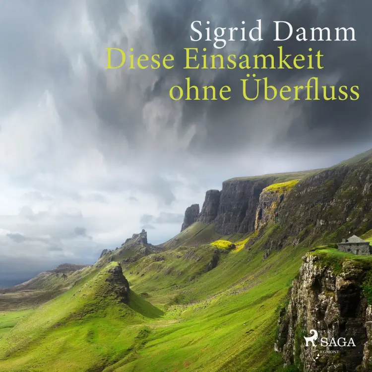 Diese Einsamkeit ohne Überfluss af Sigrid Damm