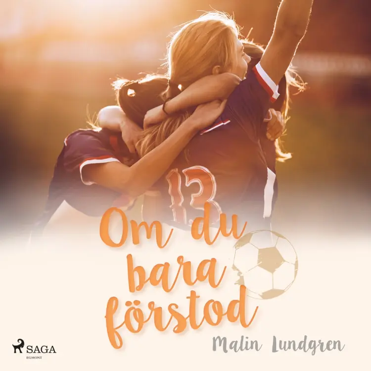 Om du bara förstod af Malin Lundgren