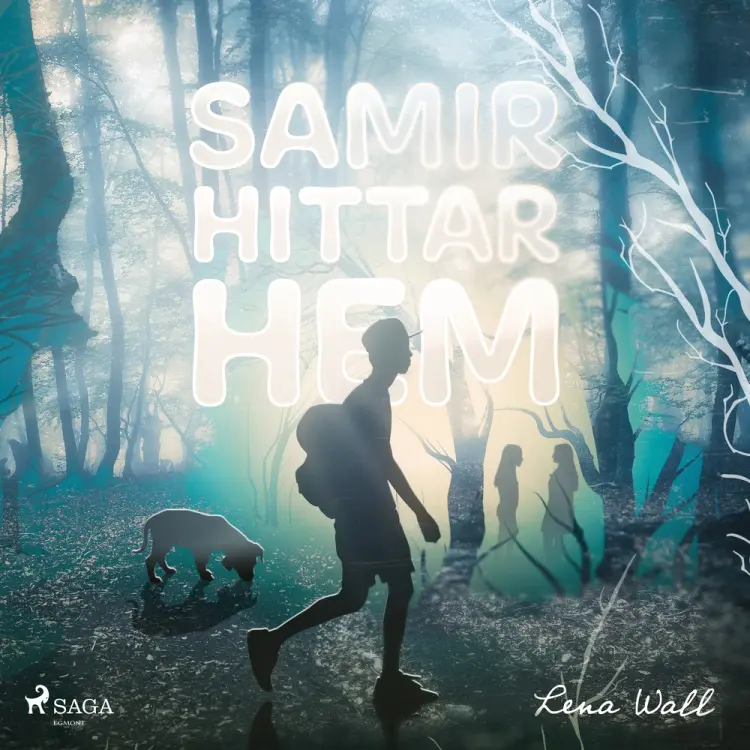 Samir hittar hem af Lena Wall