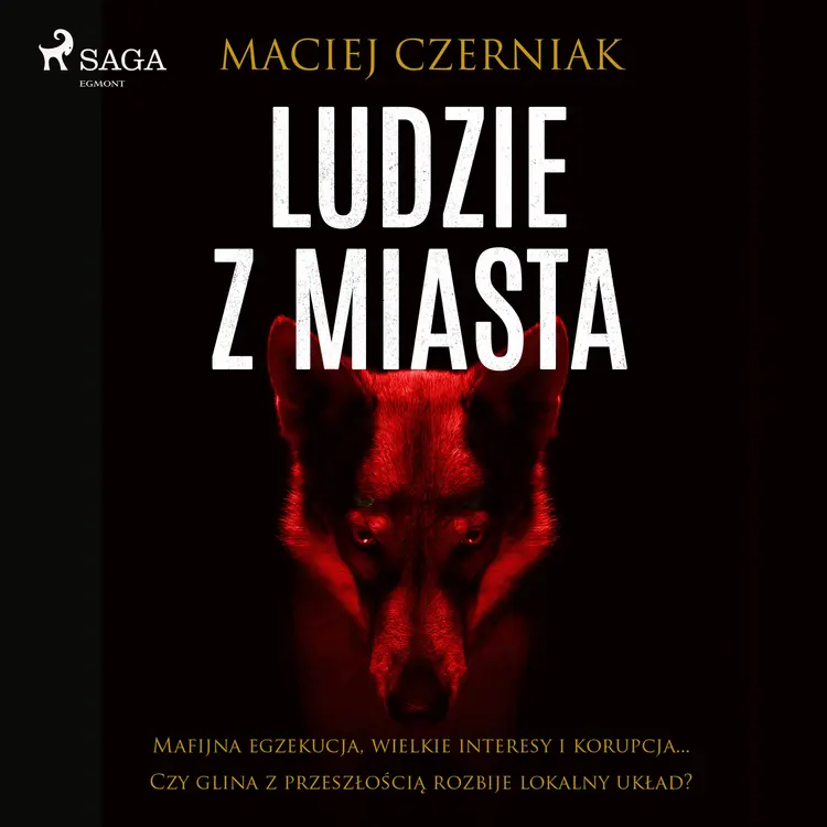 Ludzie z miasta af Maciej Czerniak