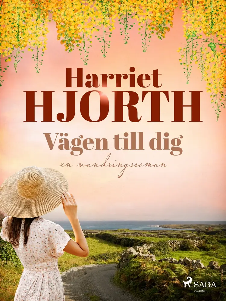 Vägen till dig af Harriet Hjorth