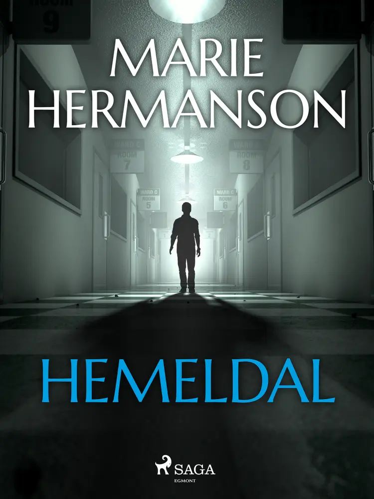 Hemeldal af Marie Hermanson