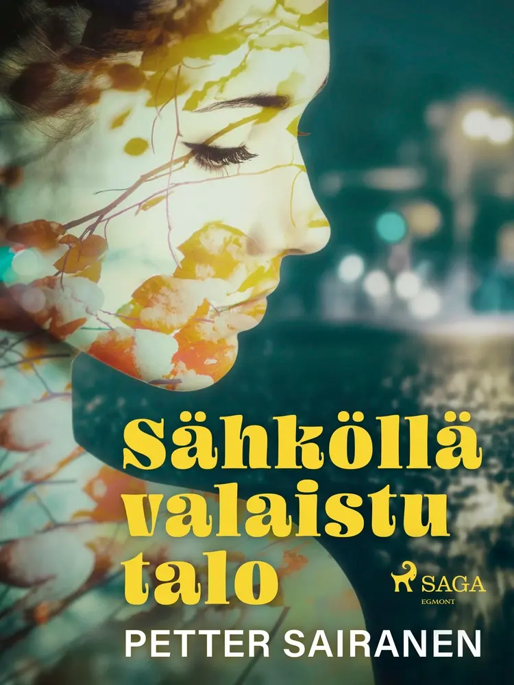 Sähköllä valaistu talo af Petter Sairanen