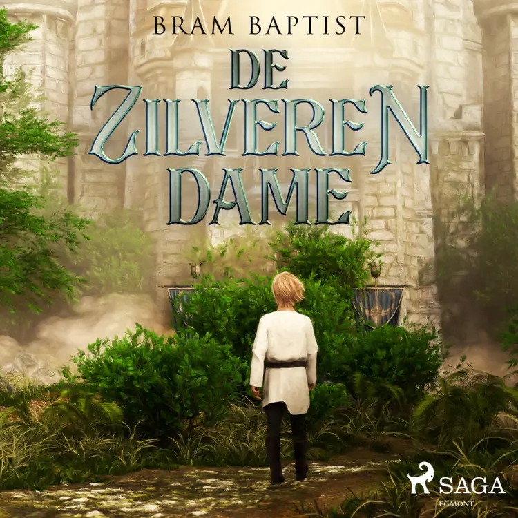De zilveren dame af Bram Baptist