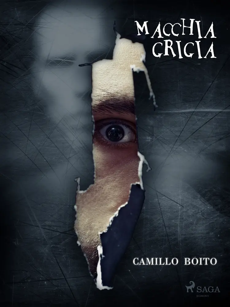 Macchia grigia af Camillo Boito