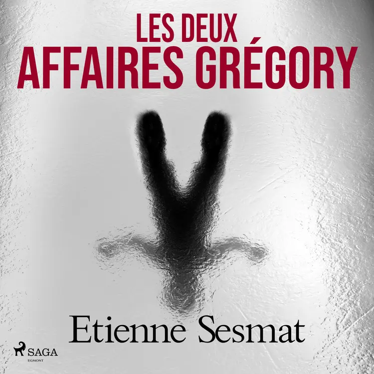 Les Deux Affaires Grégory af Etienne Sesmat