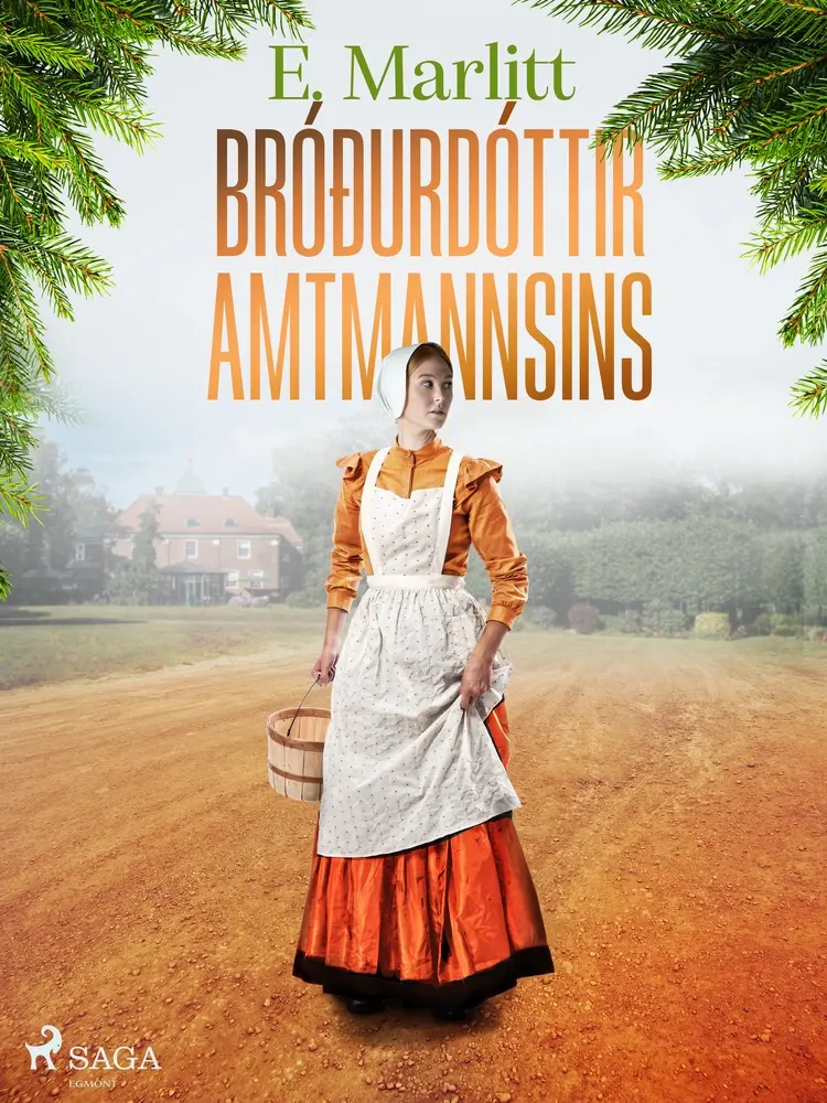 Bróðurdóttir amtmannsins af E. Marlitt