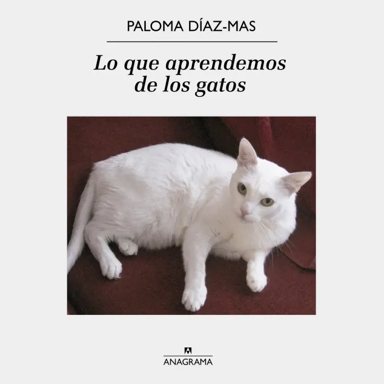 Lo que aprendemos de los gatos af Paloma Díaz-Mas