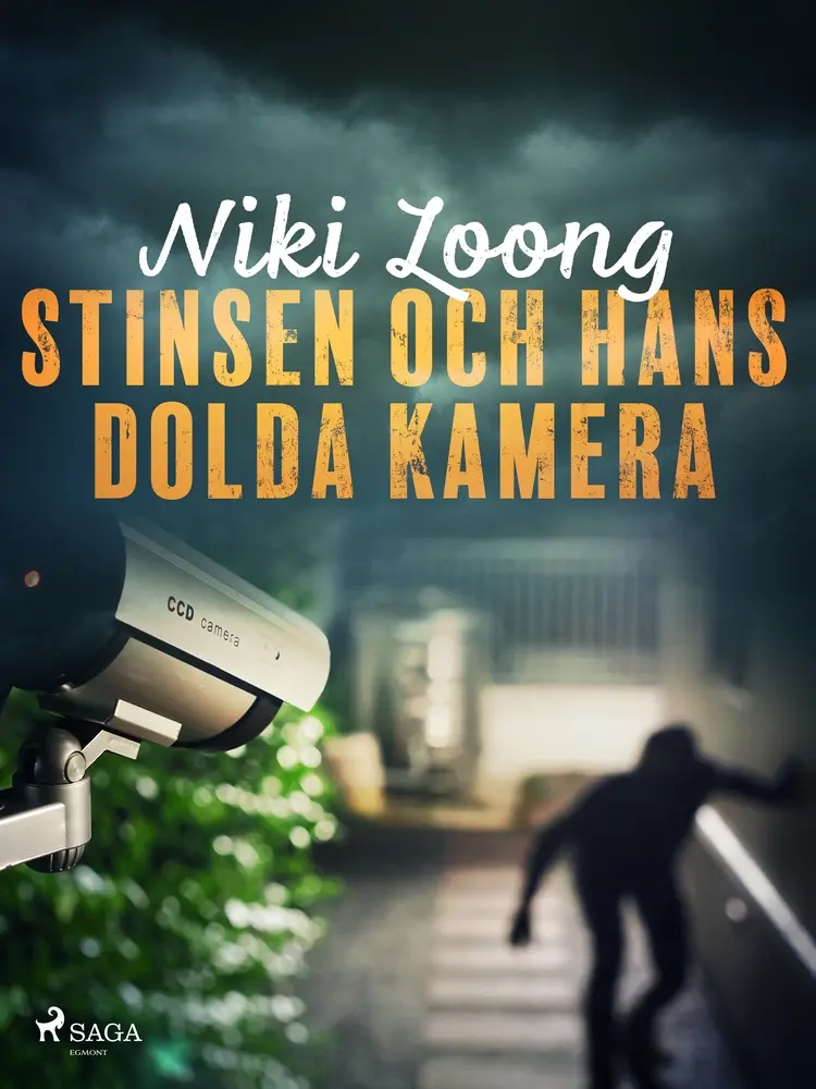 Stinsen och hans dolda kamera af Niki Loong