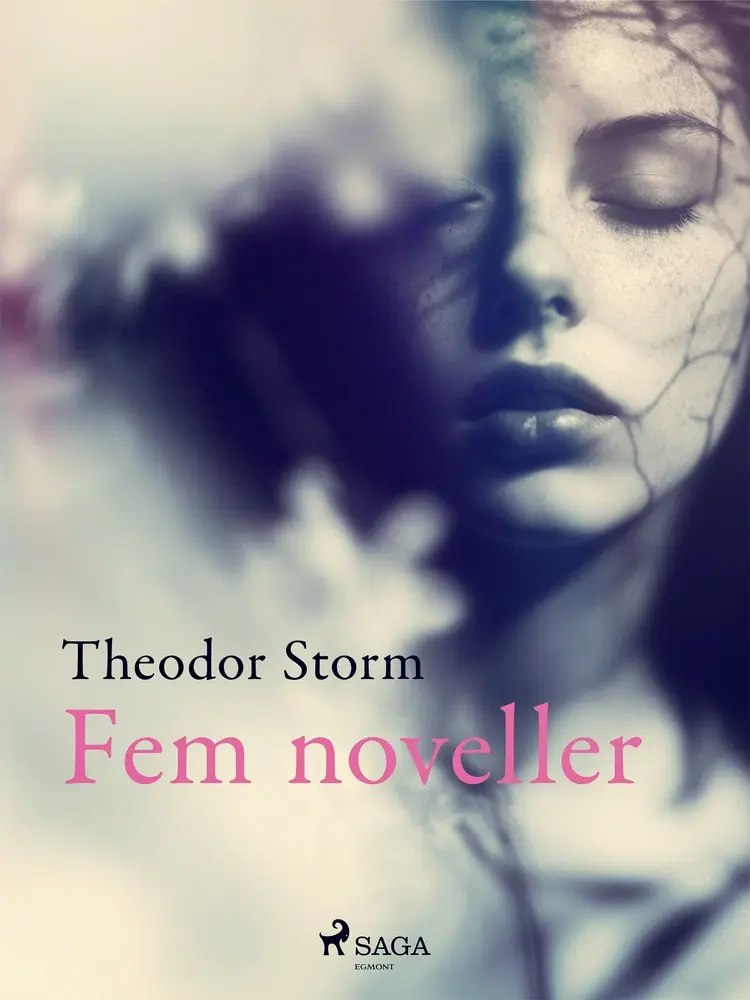 Fem noveller af Theodor Storm
