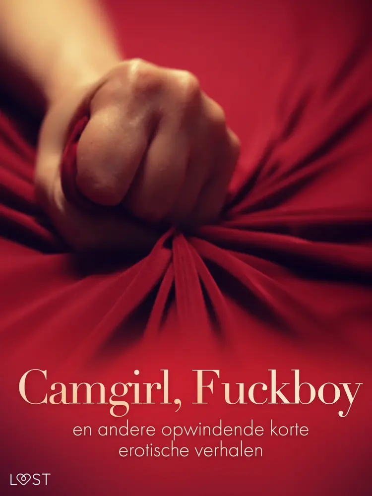 Camgirl, Fuckboy en andere opwindende korte erotische verhalen af Camille Bech