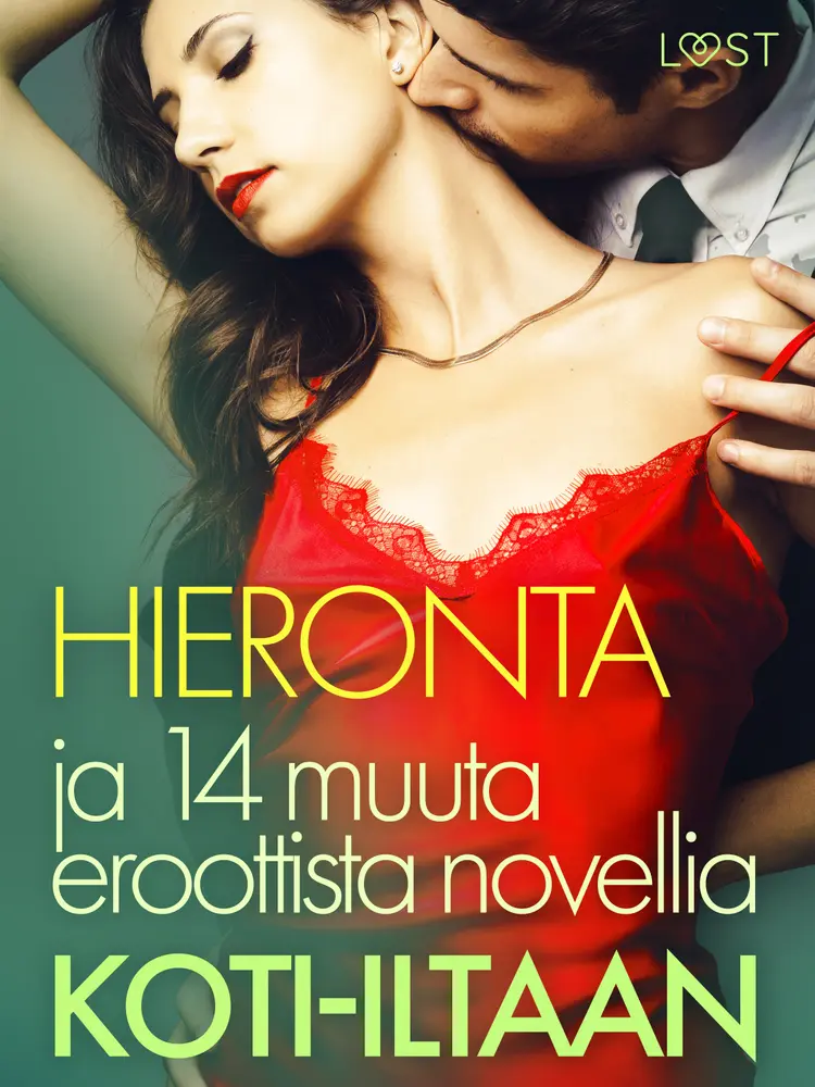 Hieronta ja 14 muuta eroottista novellia koti-iltaan af Lisa Vild