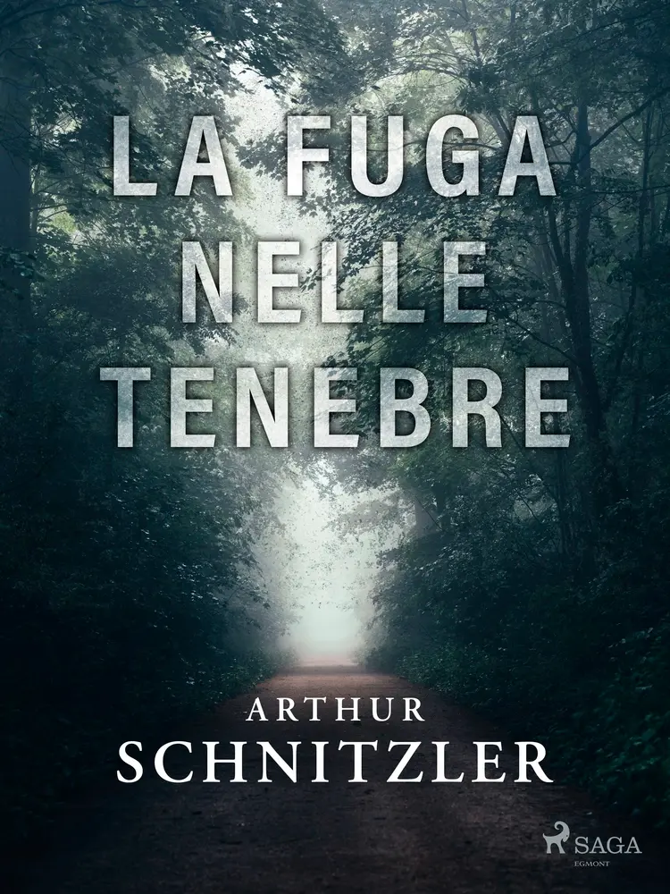 La fuga nelle tenebre af Arthur Schnitzler