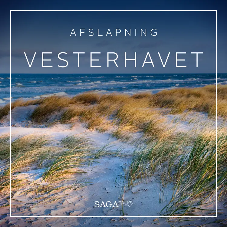 Vesterhavet af Rasmus Broe