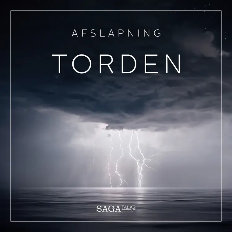 Torden af Rasmus Broe