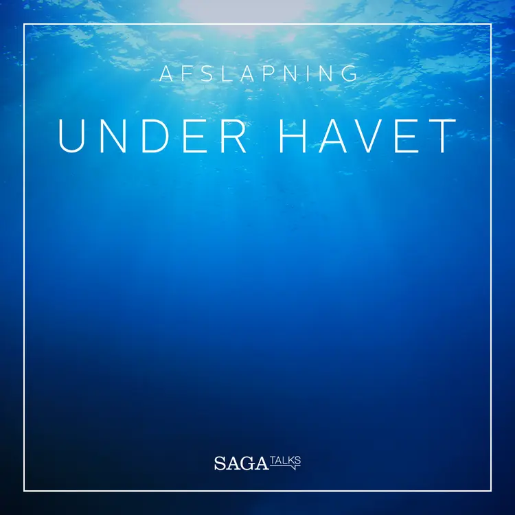 Under havet af Rasmus Broe