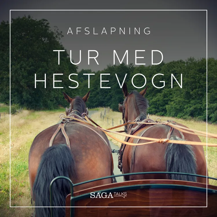 Tur med hestevogn af Rasmus Broe