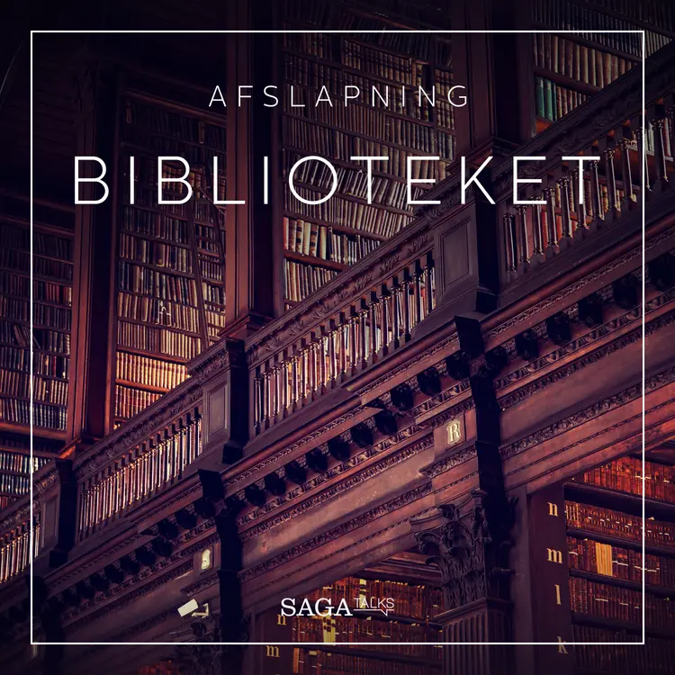 Biblioteket af Rasmus Broe