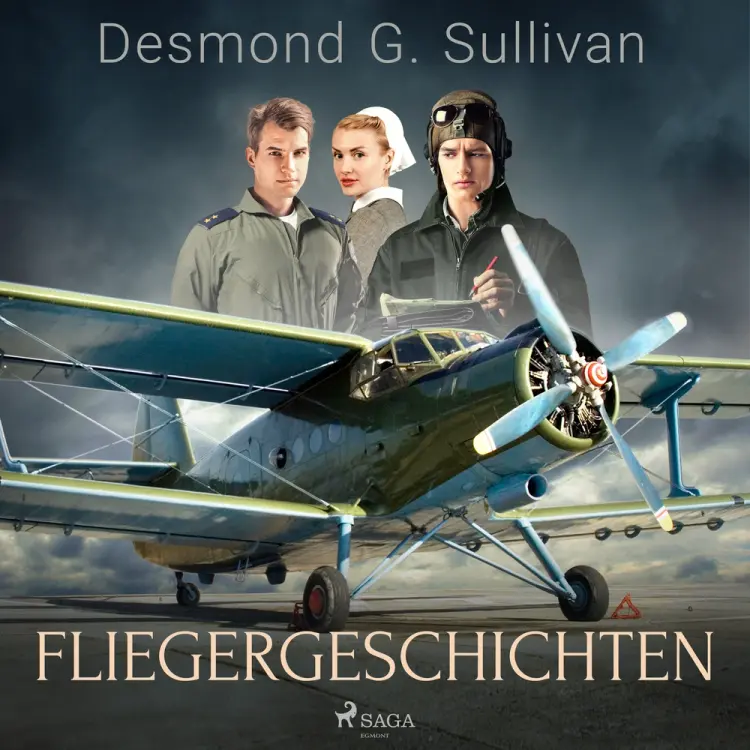 Fliegergeschichten af Desmond G. Sullivan