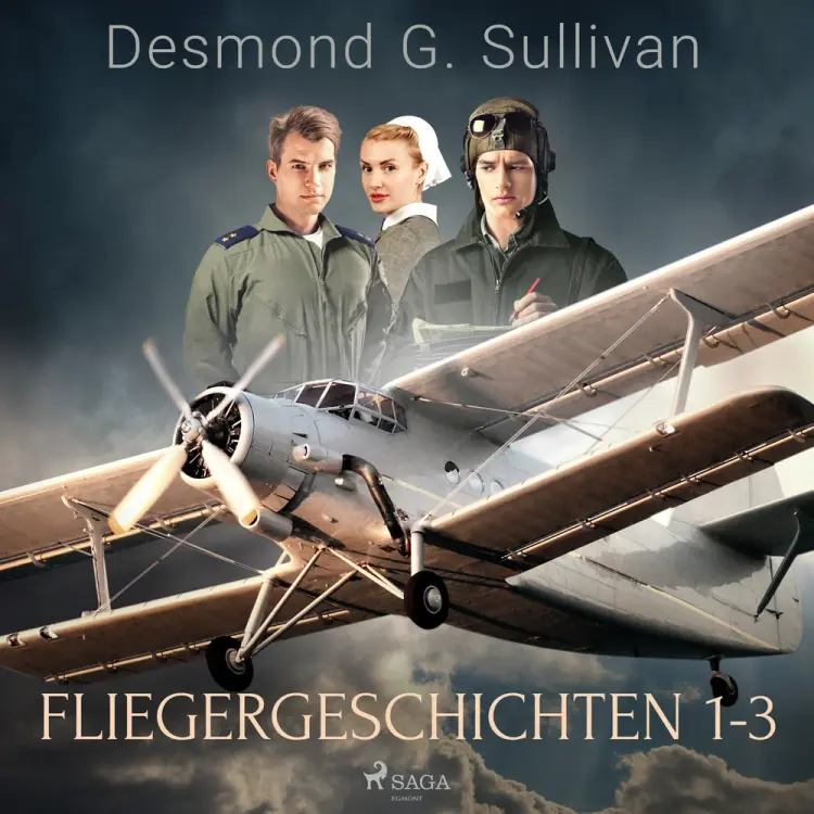 Fliegergeschichten 1-3 af Desmond G. Sullivan