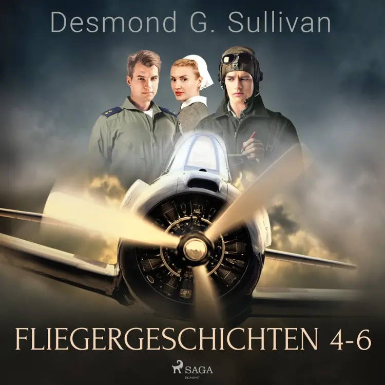 Fliegergeschichten 4-6 af Desmond G. Sullivan