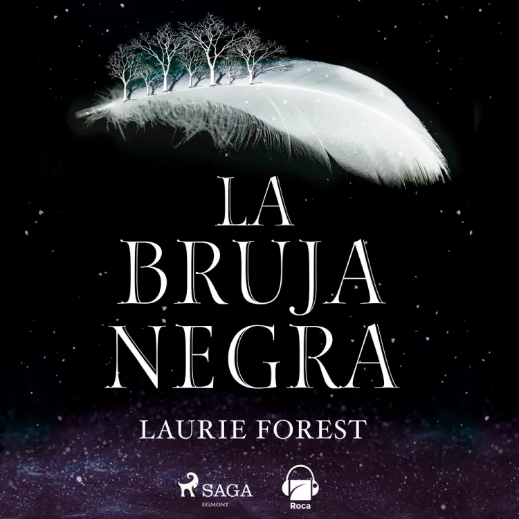 La bruja negra af Laurie Forest