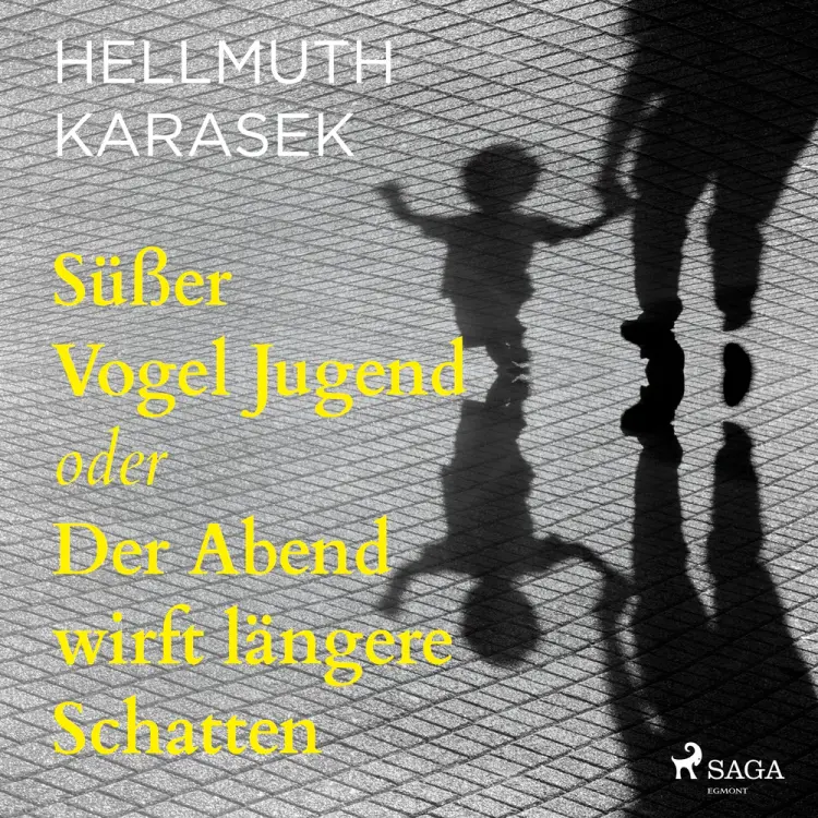 Süßer Vogel Jugend oder Der Abend wirft längere Schatten af Hellmuth Karasek