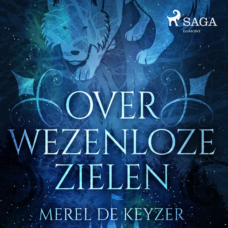 Over wezenloze zielen af Merel de Keyzer