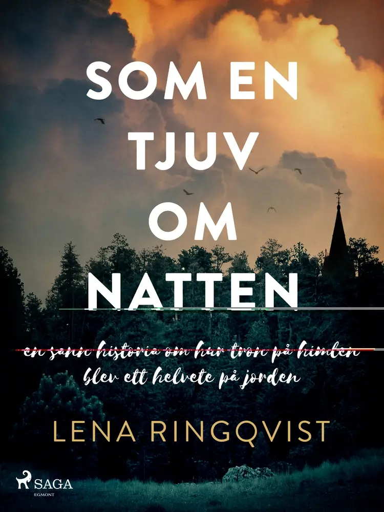 Som en tjuv om natten af Lena Ringqvist