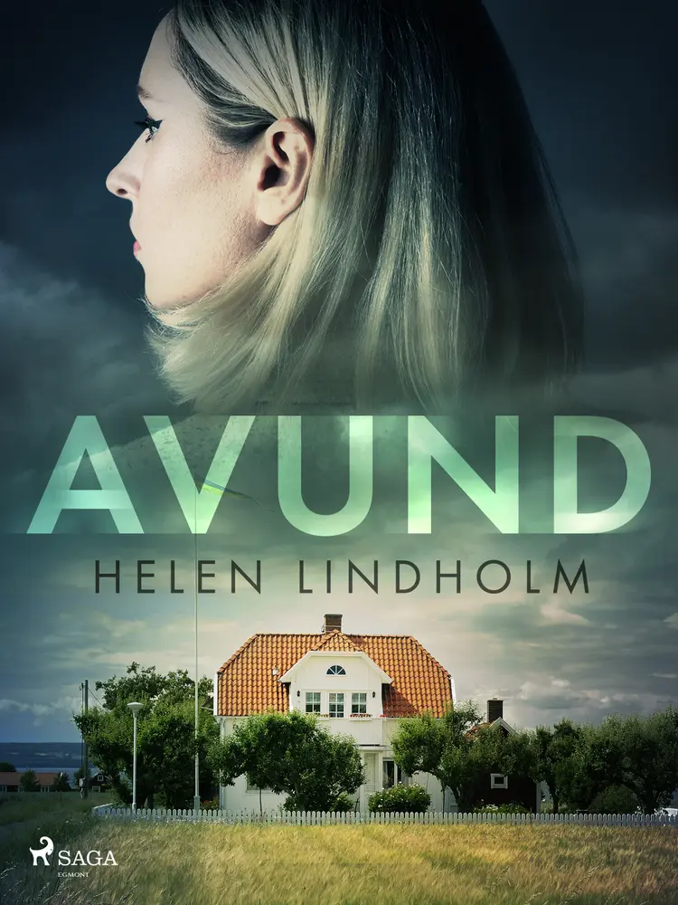 Avund af Helen Lindholm