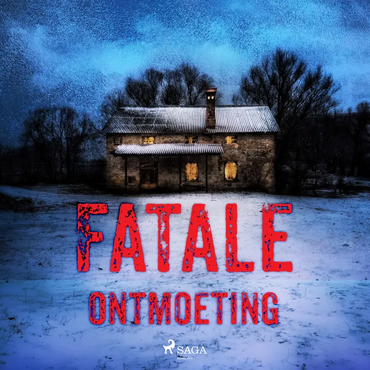 Fatale ontmoeting af Alexander Olbrechts