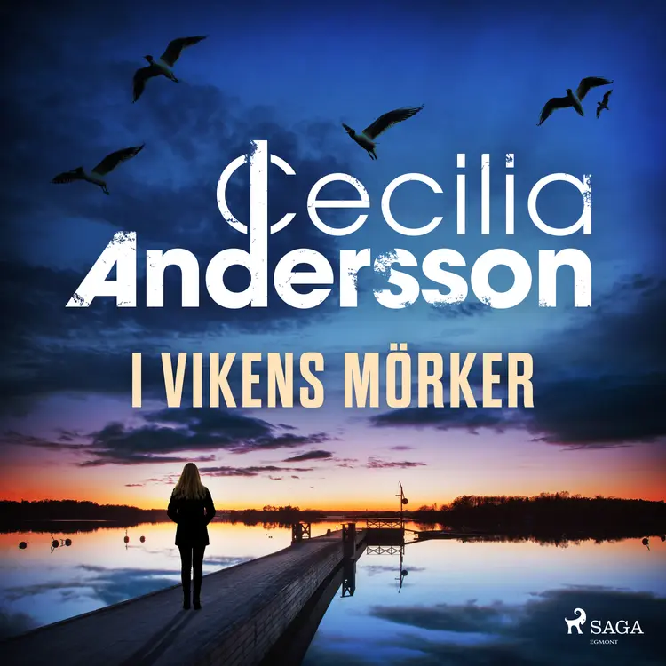 I vikens mörker af Cilla Ingeborg