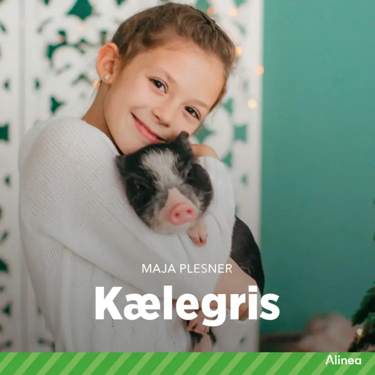 Kælegris af Maja Plesner